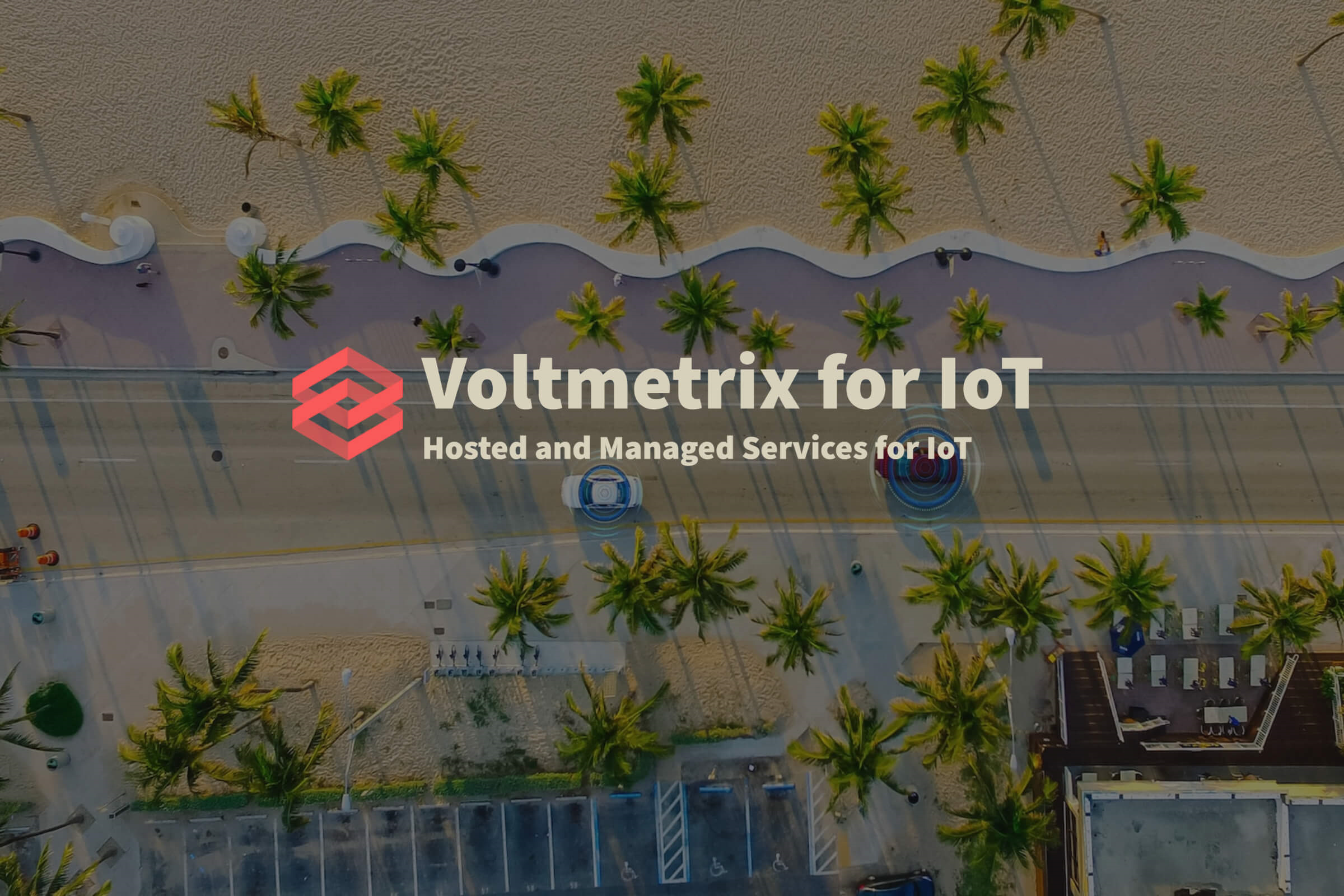 Voltmetrix for IoT